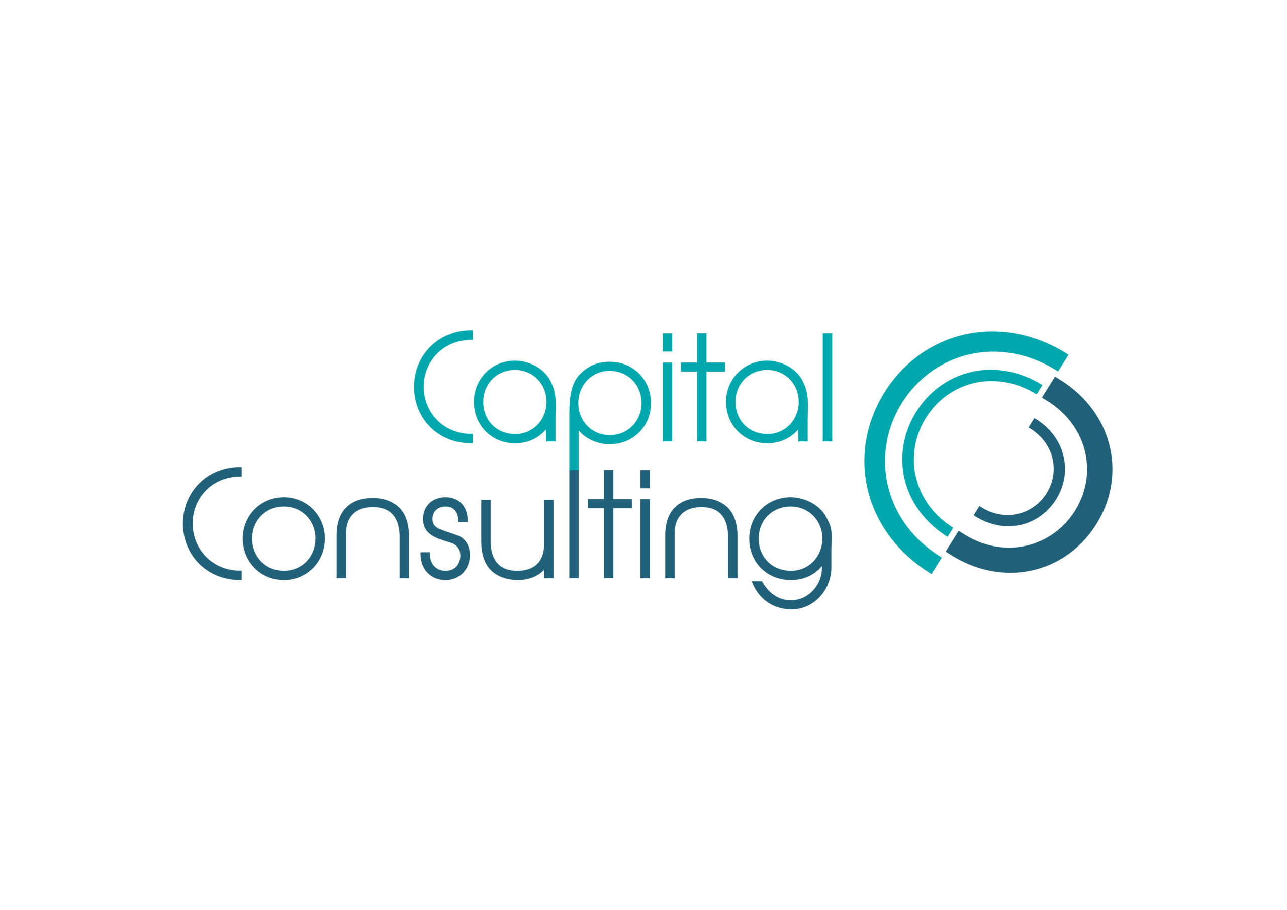 Logo Capital Consulting